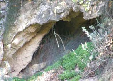 Ο άνθρωπος στην Κεφαλονιά την εποχή του λίθου 65 θάλαμο ή σπήλαιο, του οποίου η οροφή έχει
