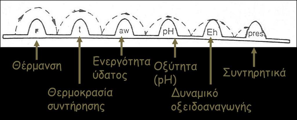 ΘΕΩΡΙΑ