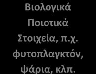 Για τα ιδιαιτέρως τροποποιημένα και τεχνητά υδατικά συστήματα (ΙΤΥΣ/ΤΥΣ) χρησιμοποιείται η έννοια του καλού οικολογικού δυναμικού, αντί της καλής οικολογικής κατάστασης.