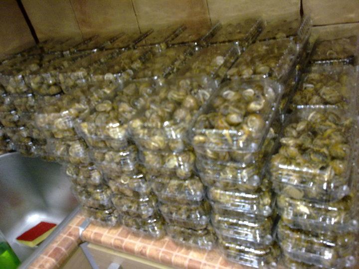Παράρτηµα Δ: Εµπορία και µεταποίηση σαλιγκαριών Εικόνα 1: Συσκευασία σαλιγκαριών προς πώληση.