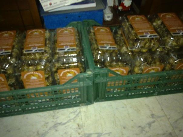 Εικόνα 2: Συσκευασία σαλιγκαριών προς πώληση. Πηγή: http://www.casteve.