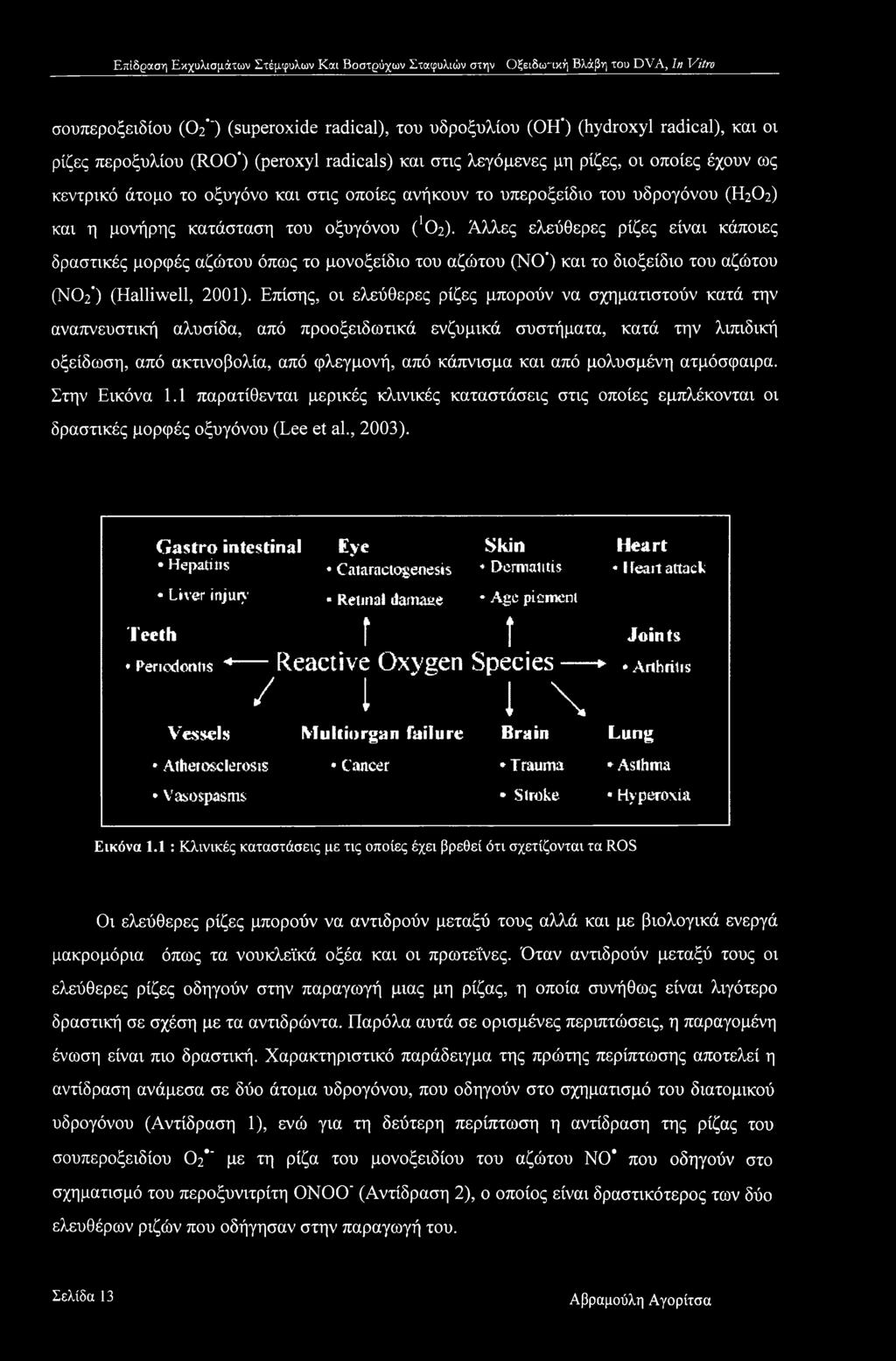 οξυγόνου (1θ2). Άλλες ελεύθερες ρίζες είναι κάποιες δραστικές μορφές αζώτου όπως το μονοξείδιο του αζώτου (NO ) και το διοξείδιο του αζώτου (ΝΟ2 ) (Halliwell, 2001).