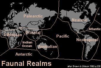 Προβινσιαλισμός 6 Ζωογεωγραφικές περιοχές: την Παλαιαρκτική (Ευρασία και Βόρεια Αφρική), τη Νεαρκτική (Βόρεια Αμερική), τη Νεοτροπική (Κεντρική και Νότια Αμερική και Δυτικές Ινδίες), την Αιθιοπική