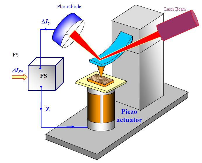 Μικροσκοπικές μέθοδοι μελέτης επιφανειών βασιζόμενες στη σάρωση ακίδας ή ηλεκτροδίου Σχήμα 1.5 : Απλοποιημένη αναπαράσταση της ανάδρασης του οπτικού συστήματος ανίχνευσης του AFM.