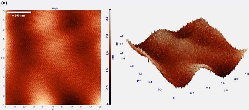 Μικροσκοπικός και Φασματοσκοπικός Χαρακτηρισμός Σχήμα 3.9: Εικόνες AFM (2D και 3D) σε λειτουργία περιοδικής επαφής, του αποθέματος Pt(Ni)/GC του σχήματος 3.