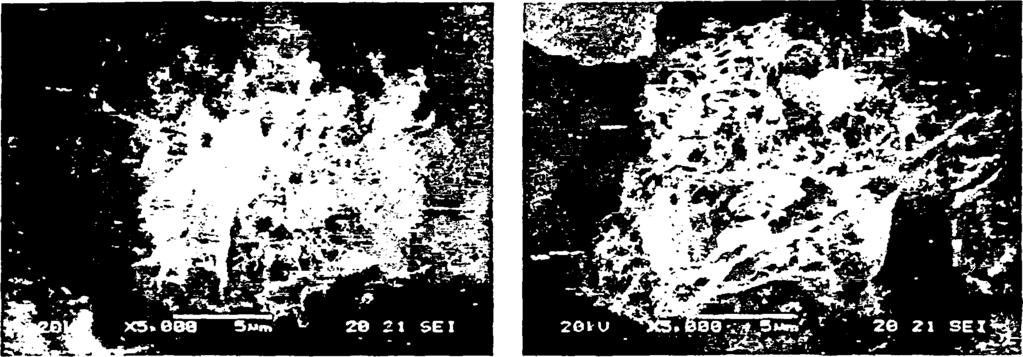 Ενώ τα αρχικά υλικά χαρακτηρίζονταν από σωματίδια ποικίλων διαστάσεων πλακοειδούς μορφής (Σχήματα 3.12-3.15), οι καταλύτες NM-x/PVA παρουσίασαν μορφολογία «αφρού».