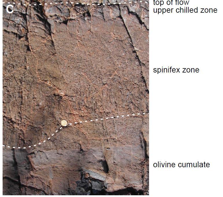Υφή spinifex