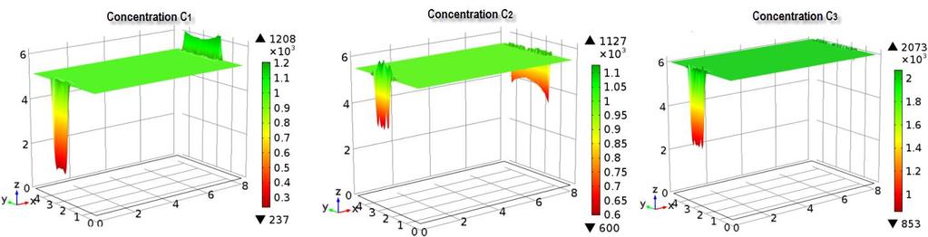 Παρατηρείται ότι η μεταβολή των συγκεντρώσεων περιορίζεται σε μία περιοχή κοντά στην