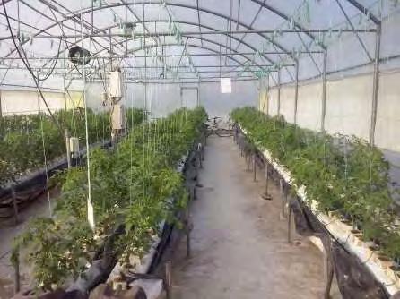 ΠΑΝΕΠΙΣΤΗΜΙΟ ΘΕΣΣΑΛΙΑΣ ΠΡΟΓΡΑΜΜΑ ΜΕΤΑΠΤΥΧΙΑΚΩΝ ΣΠΟΥΔΩΝ ΤΜΗΜΑΤΟΣ ΓΕΩΠΟΝΙΑΣ ΦΥΤΙΚΗΣ ΠΑΡΑΓΩΓΗΣ & ΑΓΡΟΤΙΚΟΥ ΠΕΡΙΒΑΛΛΟΝΤΟΣ ΑΥΤΟΜΑΤΙΣΜΟΙ ΣΤΙΣ ΑΡΔΕΥΣΕΙΣ, ΤΙΣ ΓΕΩΡΓΙΚΕΣ ΚΑΤΑΣΚΕΥΕΣ ΚΑΙ ΣΤΗΝ ΕΚΜΗΧΑΝΙΣΗ ΤΗΣ