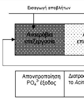 Θα πρέπει να σημειωθεί ότι κατά την πραγματοποίηση της διαδικασίας της ενεργούς ιλύος απαιτείται η μικροχλωρίδα να δημιουργεί συσσωματώματα με αποτέλεσμα να αυξάνεται το βάρος και να καθιζάνουν.