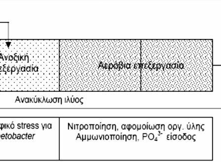 Ωστόσο, βασικός παράγοντας για την επιτυχή ολοκλήρωση της μεθόδου είναι η γνωστοποίηση των βακτηρίων που λαμβάνουν μέρος στην επεξεργασία με στόχο τον έλεγχο των αλληλεπιδράσεων μεταξύ τους (Dabert