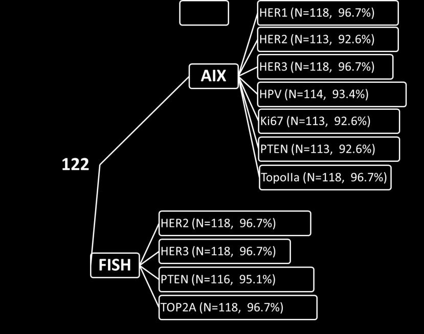Εικόνα 8.2. Παρουσίαση του αριθμού των περιπτώσεων που αναλύθηκαν για κάθε μοριακό δείκτη ανά μέθοδο. 8.3.1 HER3 Έκφραση της HER3 πρωτεΐνης παρατηρήθηκε στο 52.5% των όγκων που μελετήθηκαν (Πίνακας 8.