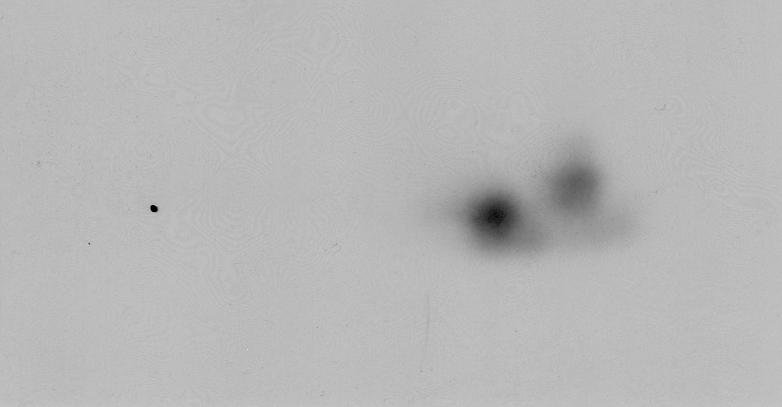 154 CK2 Δράση από Affigel-Casein Σχήμα Γ.28.