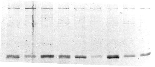 160 Γ.4.9.3.