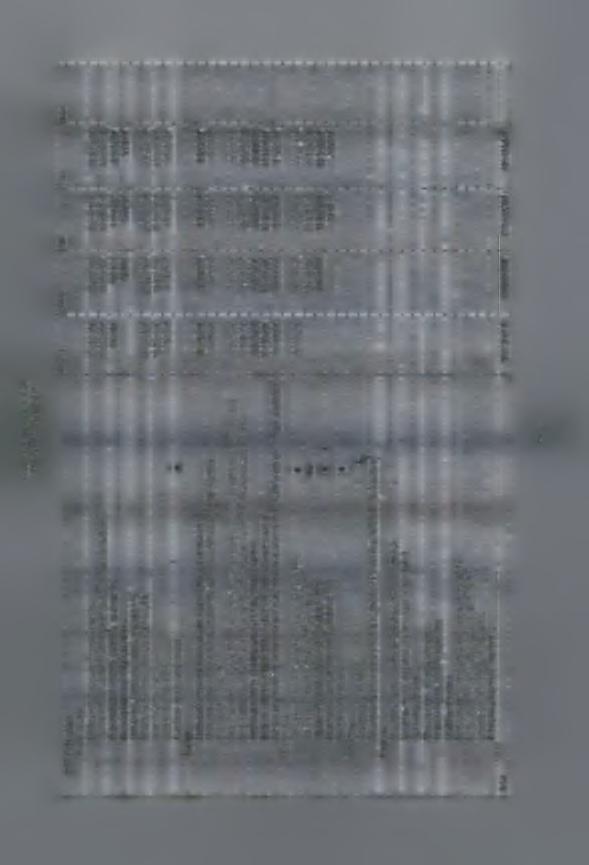 1J u n e > rc 11.478,21 12.037,90 1.004,21 522,50 18.037,18 18.916,70 1.004,21 522,50 29.572,63 29.572,63 15.098,95 3.501,67 15.098,95 4.422,23 859,74 3.501,67 3.623,95 31.621,70 8.515,83 18.478,64 1.