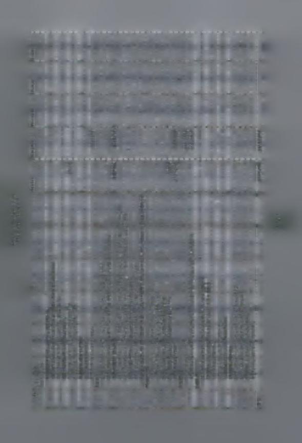 03 S -Q ω LL (0 ZJ C CC -5 October 29,00 4.168,75 93,19 23.296,00 27.586,94 November 1December 3.929,25 1.268,75 35.840,00 14.566,50 1 Cash Flow as o f Tue 5/5/09 Μπουραζάνι Δέμα καθ2 86.521,50 142.