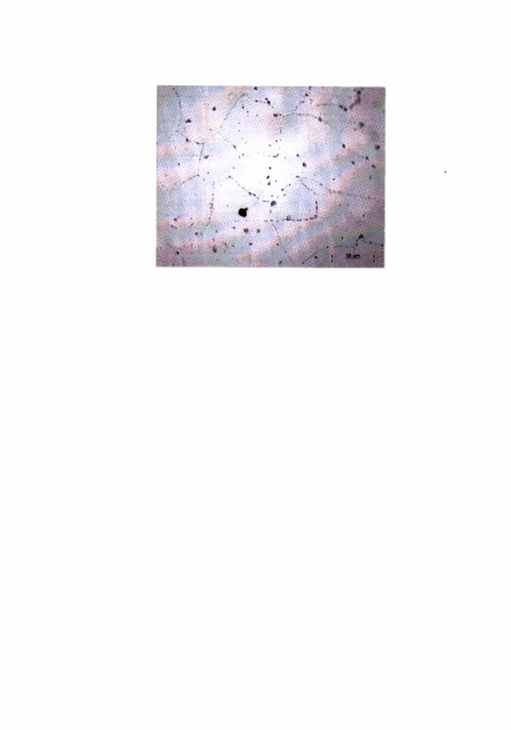 Κεφάλαιο 2; Βιβλιογραφική ανασκόπηση Εικόνα 2.6: Δομή κράματος αλουμινίου (Al-Mg-Si) που περιέχει σωματίδια δεύτερης φάσης, όπως αυτή φαίνεται στο οπτικό μικροσκόπιο. 2.3.