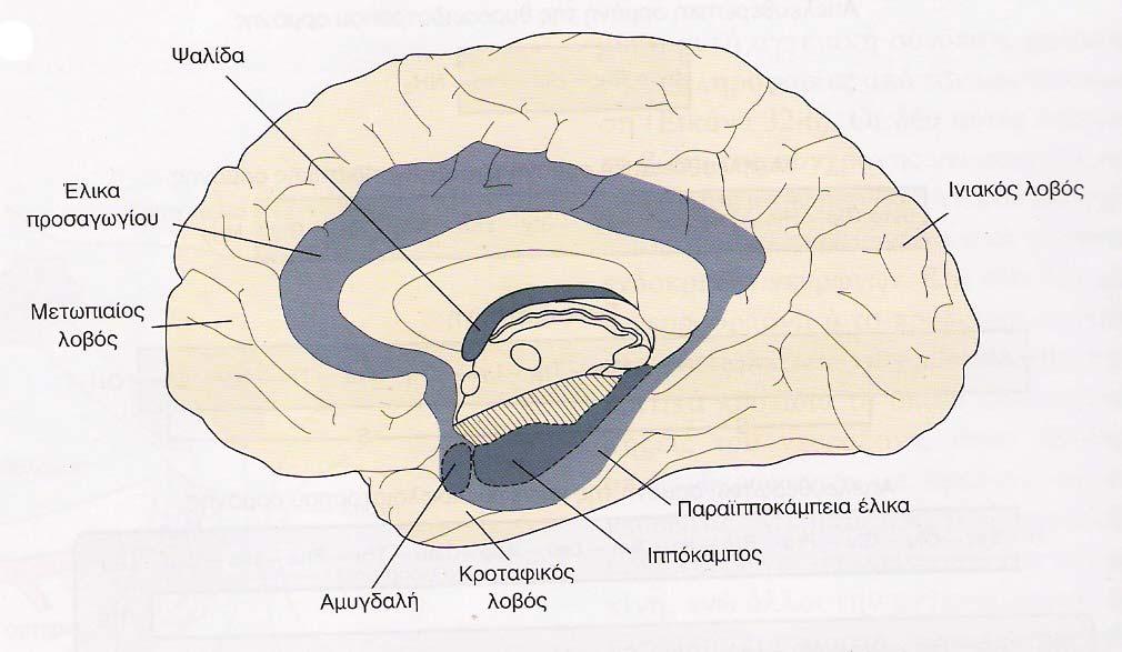 Σχήμα 8.