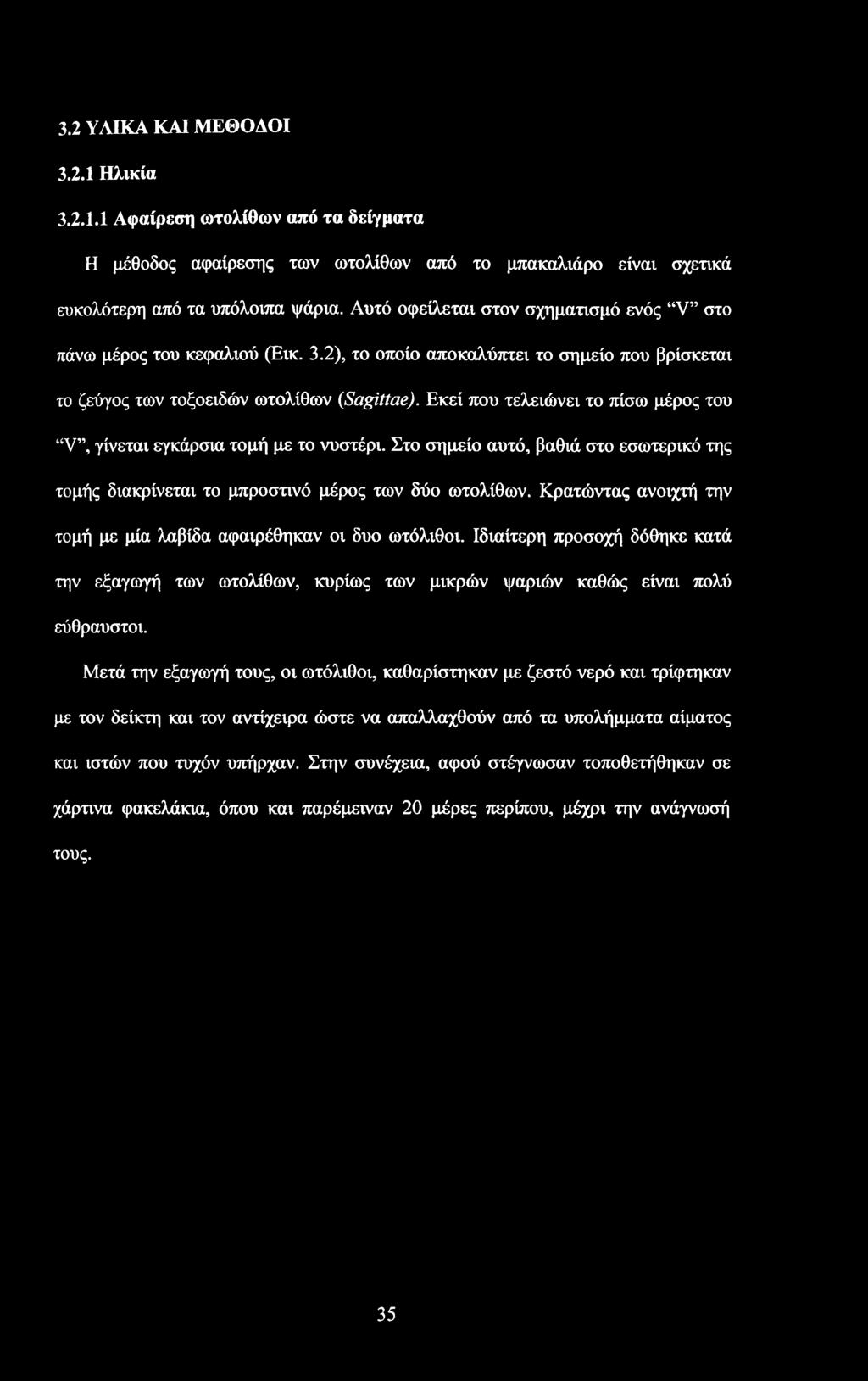 Εκεί που τελειώνει το πίσω μέρος του V, γίνεται εγκάρσια τομή με το νυστέρι. Στο σημείο αυτό, βαθιά στο εσωτερικό της τομής διακρίνεται το μπροστινό μέρος των δύο ωτολίθων.