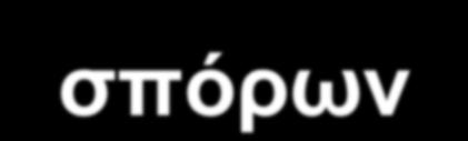 με βάση αυτή καθορίζουν τον χρόνο: άνθησης,