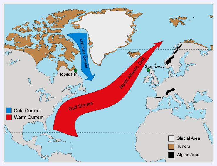 ~11 year periodicity in Gulf Stream activity A warm engine Gulf