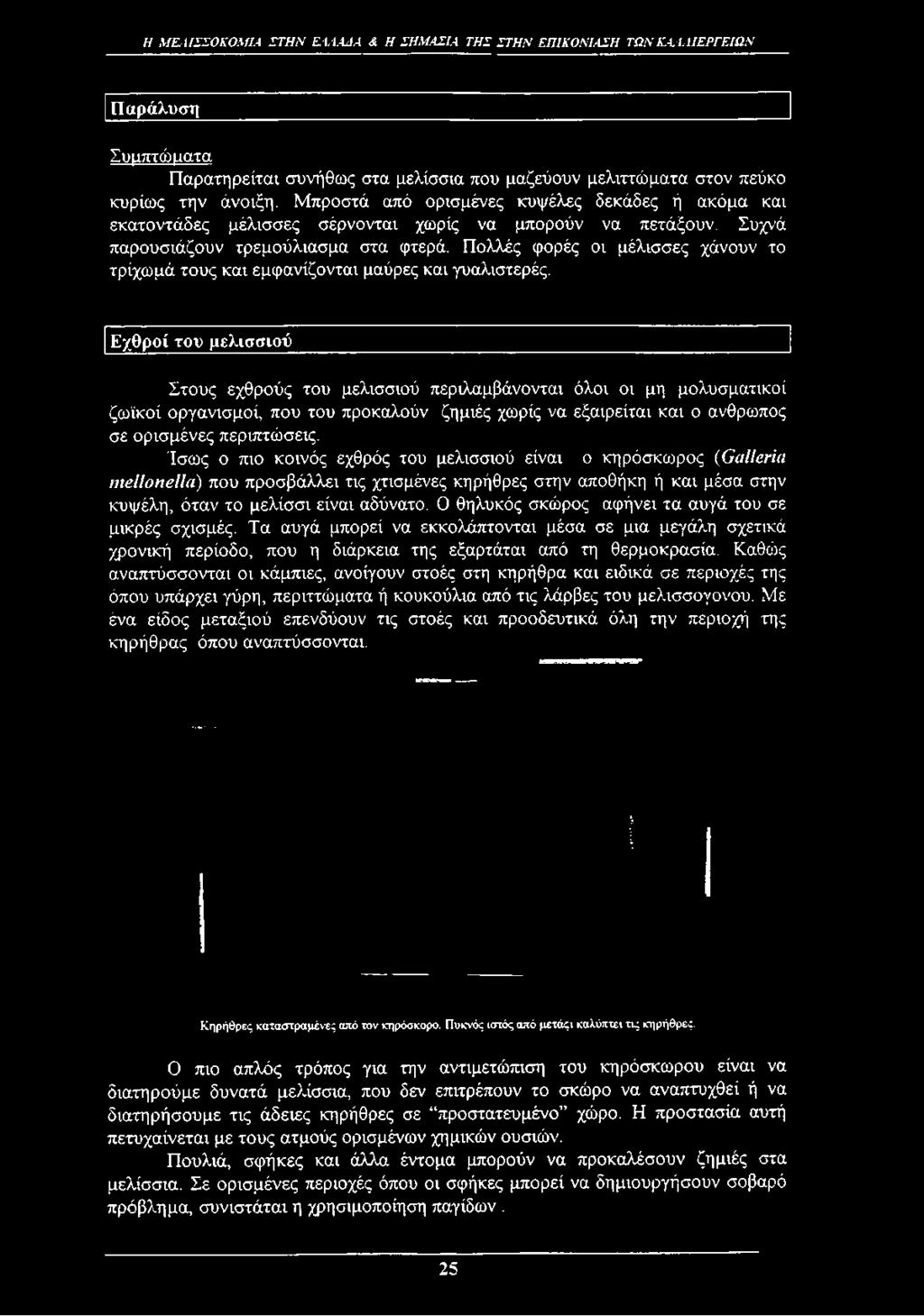 Πολλές φορές οι μέλισσες χάνουν το τρίχωμά τους και εμφανίζονται μαύρες και γυαλιστερές.