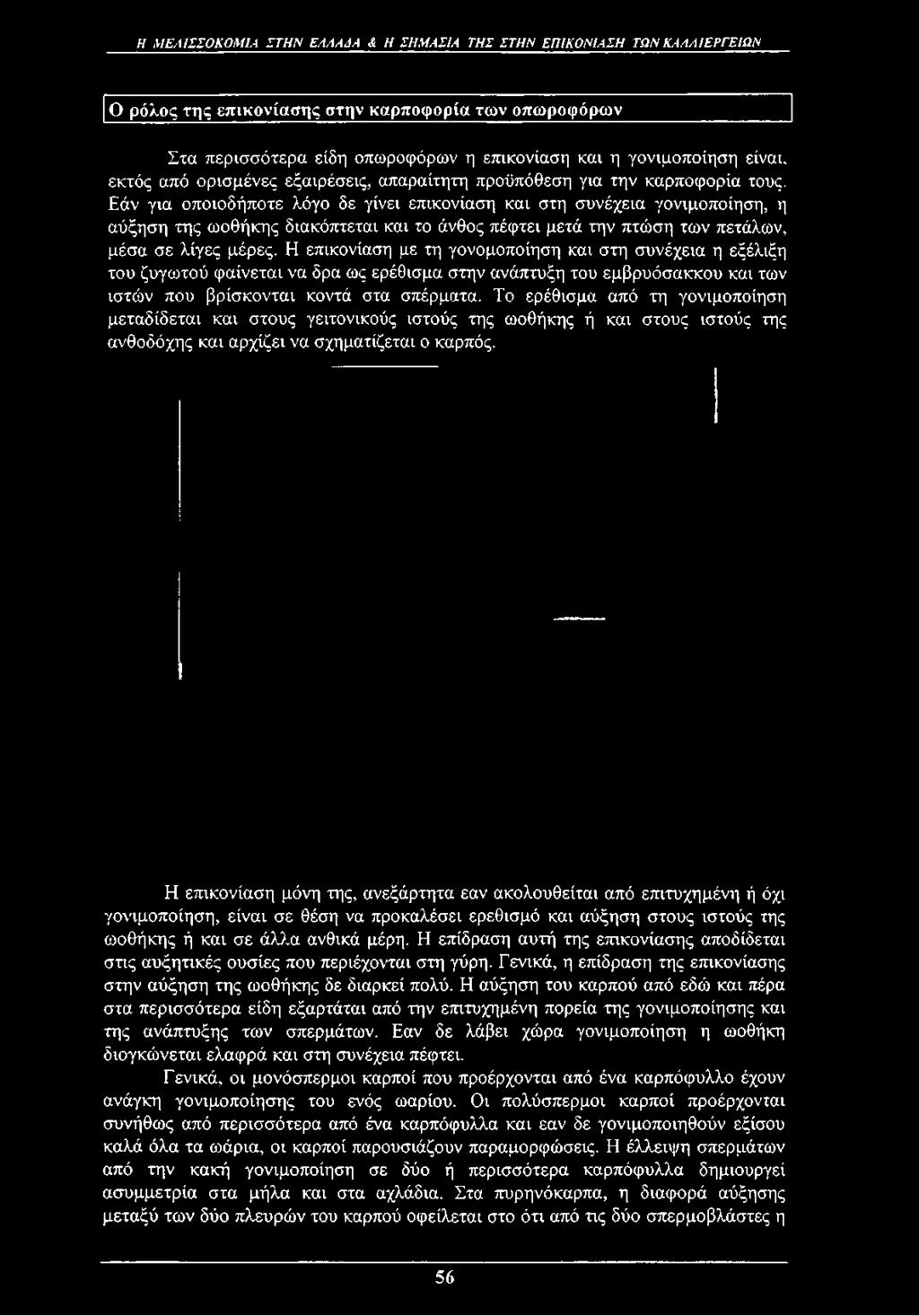 Εάν για οποιοδήποτε λόγο δε γίνει επικονίαση και στη συνέχεια γονιμοποίηση, η αύξηση της ωοθήκης διακόπτεται και το άνθος πέφτει μετά την πτώση των πετάλων, μέσα σε λίγες μέρες.