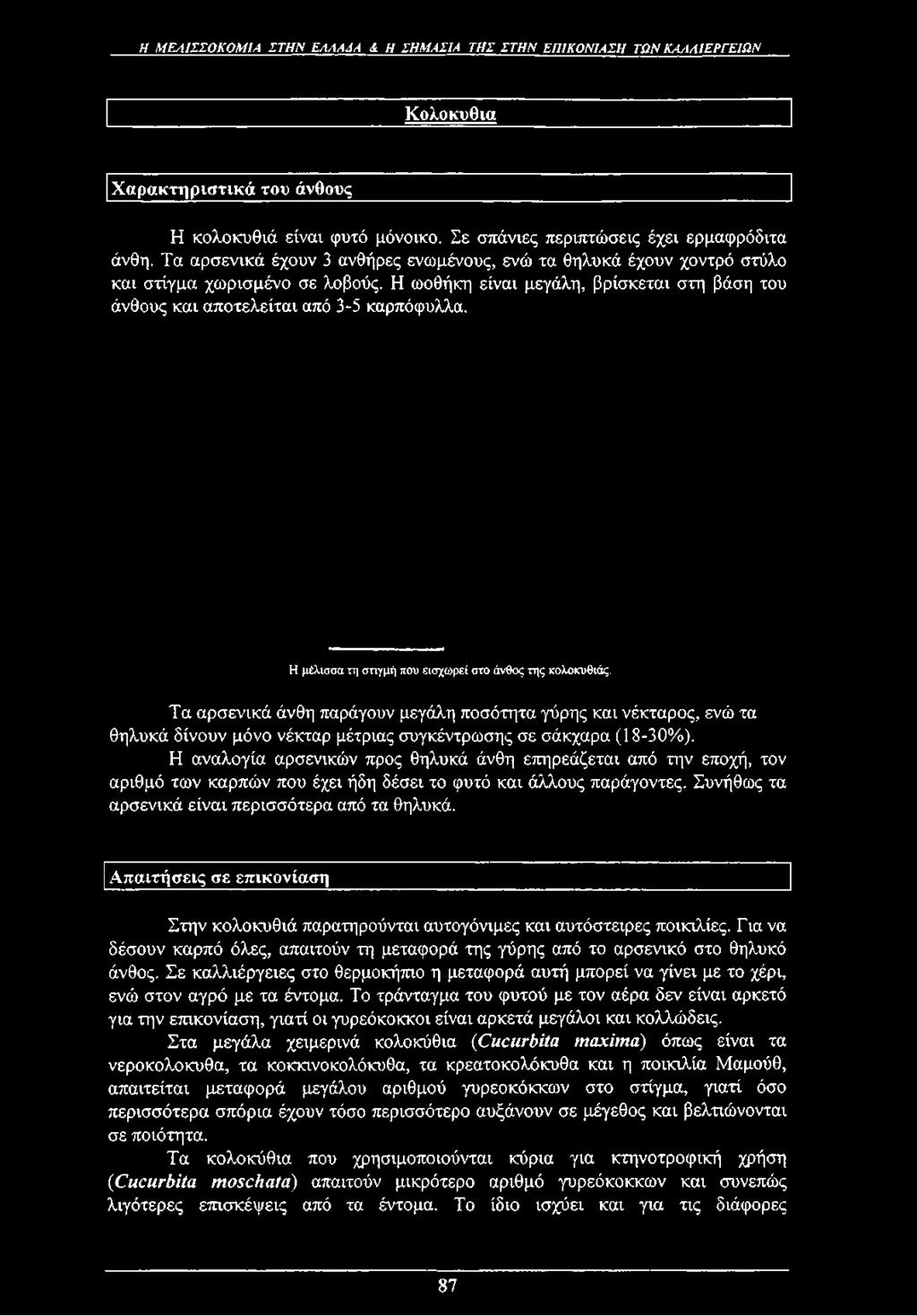 Η ΜΕΛΙΣΣΟΚΟΜΙΑ ΣΤΗΝ ΕΛΛΑΔΑ & Η ΣΗΜΑΣΙΑ ΤΗΣ ΣΤΗΝ ΕΠ1Κ0Ν1ΑΣΗ ΤΩΝ ΚΑΛΛΙΕΡΓΕΙΩΝ Κολοκύθια Χαρακτηριστικά του άνθους Η κολοκυθιά είναι φυτό μόνοικο. Σε σπάνιες περιπτώσεις έχει ερμαφρόδιτα άνθη.