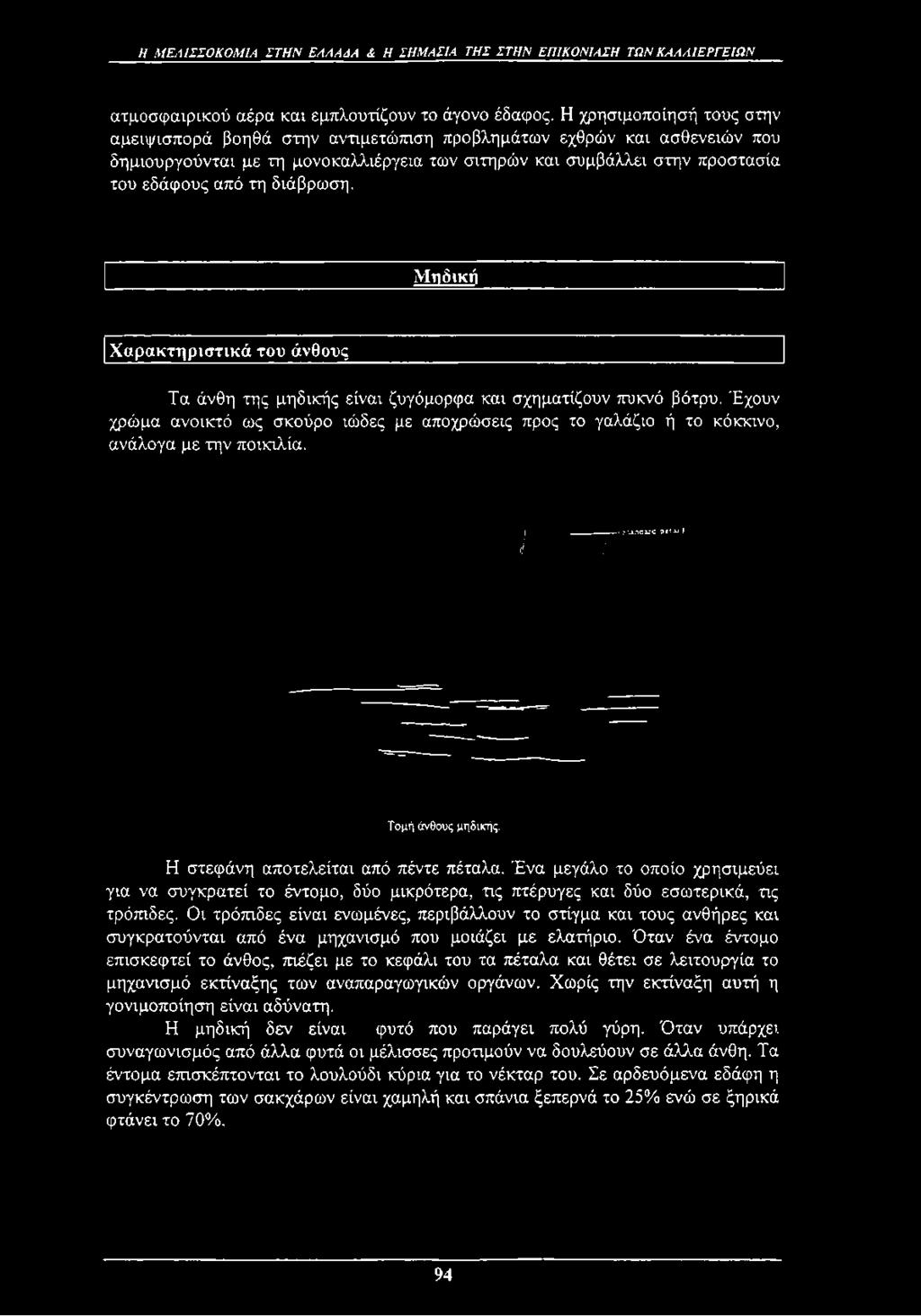 διάβρωση. Μηδική Χαρακτηριστικά του άνθους Τα άνθη της μηδικής είναι ζυγόμορφα και σχηματίζουν πυκνό βότρυ.