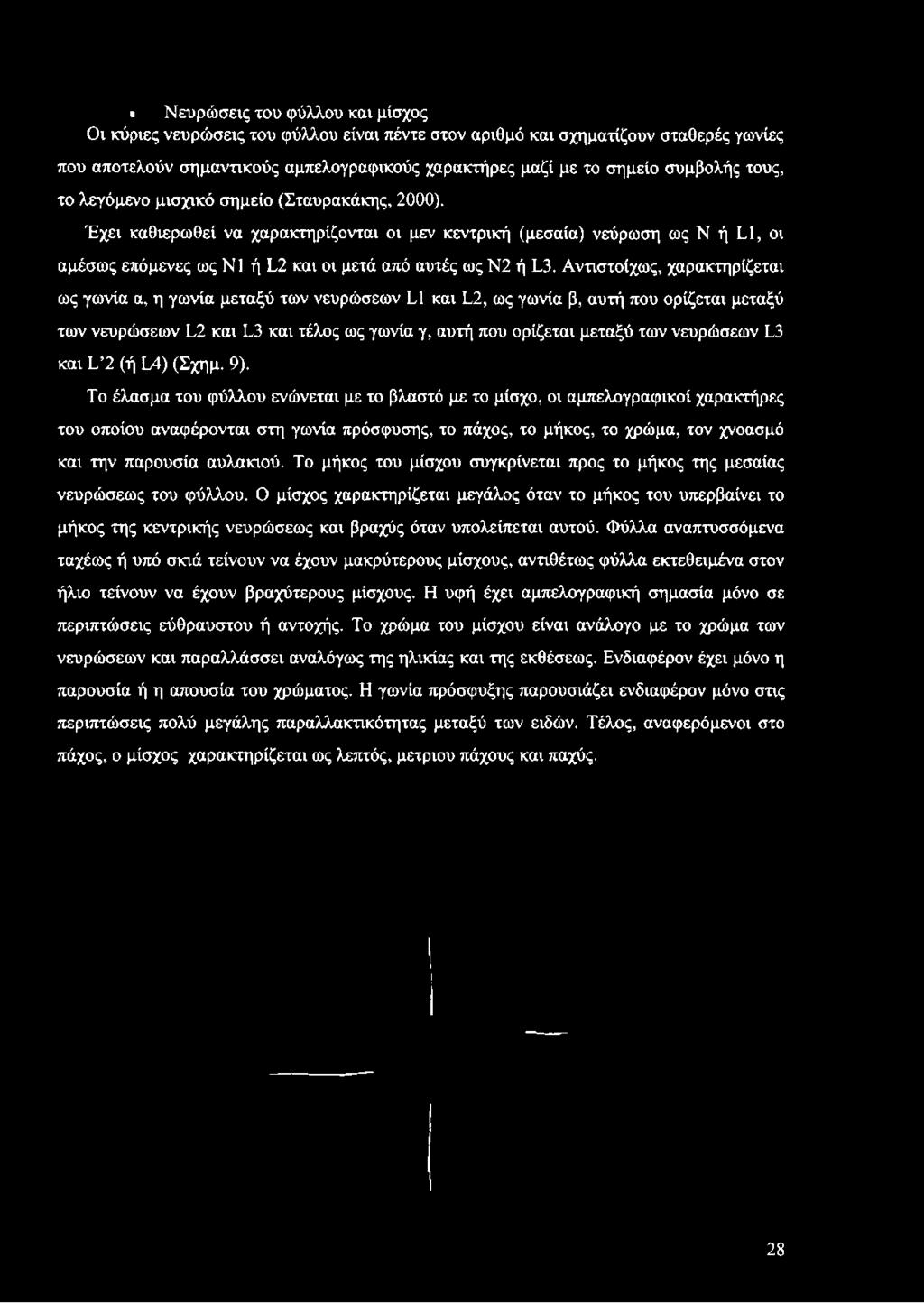 Αντιστοίχως, χαρακτηρίζεται ως γωνία α, η γωνία μεταξύ των νευρώσεων 13 και 13, ως γωνία β, αυτή που ορίζεται μεταξύ των νευρώσεων 13 και 13 και τέλος ως γωνία γ, αυτή που ορίζεται μεταξύ των