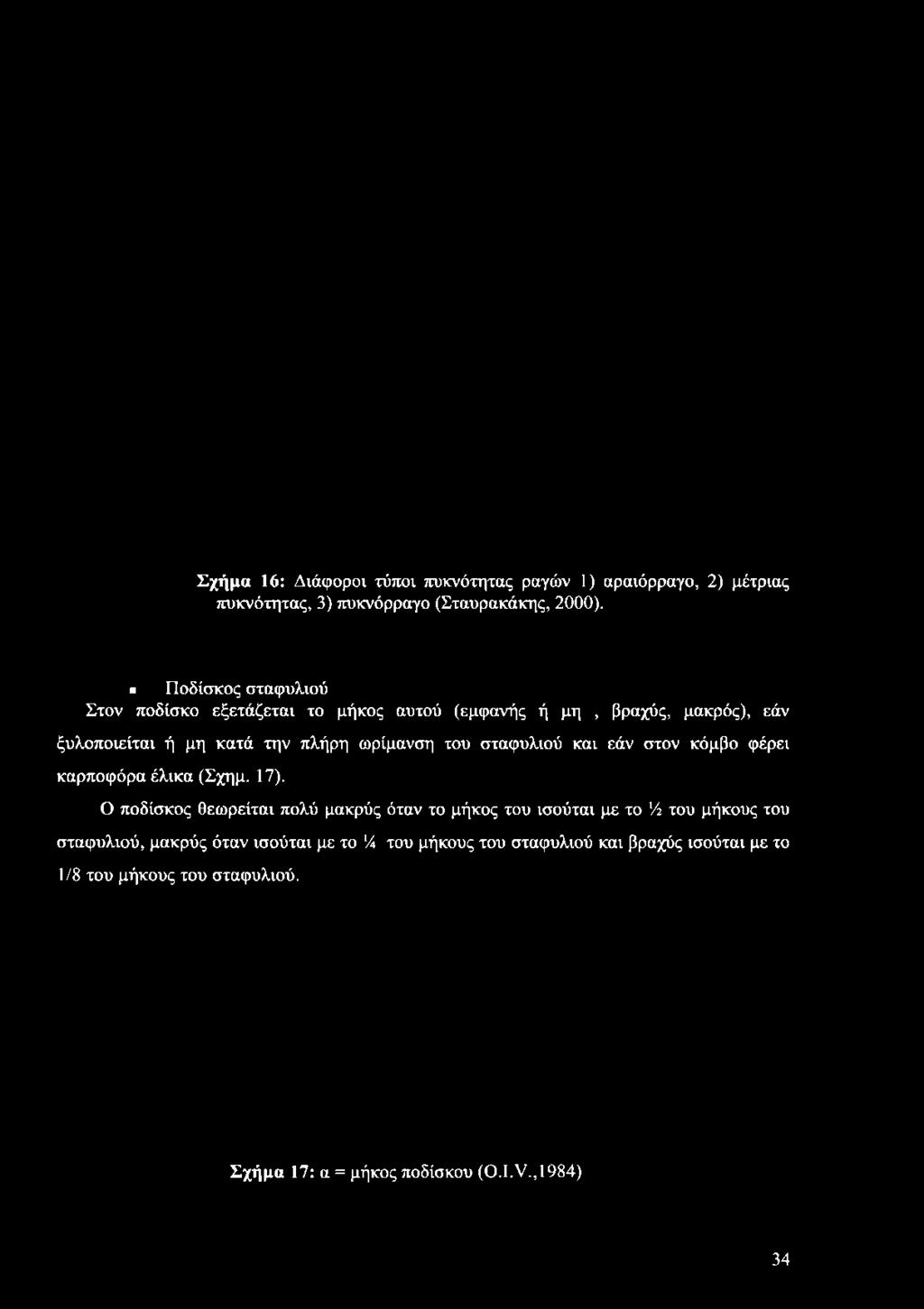 Ποδίσκος σταφυλιού Στον ποδίσκο εξετάζεται το μήκος αυτού (εμφανής ή