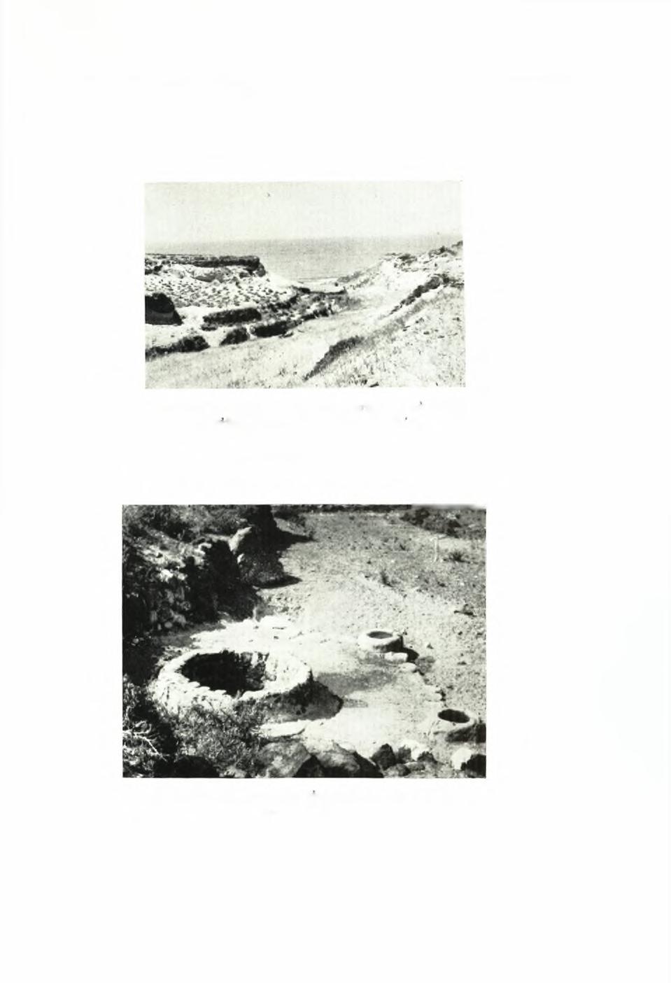 ΠΑΕ 1967. 13. αναςκλφαι θηρας Πίνας 107 α.
