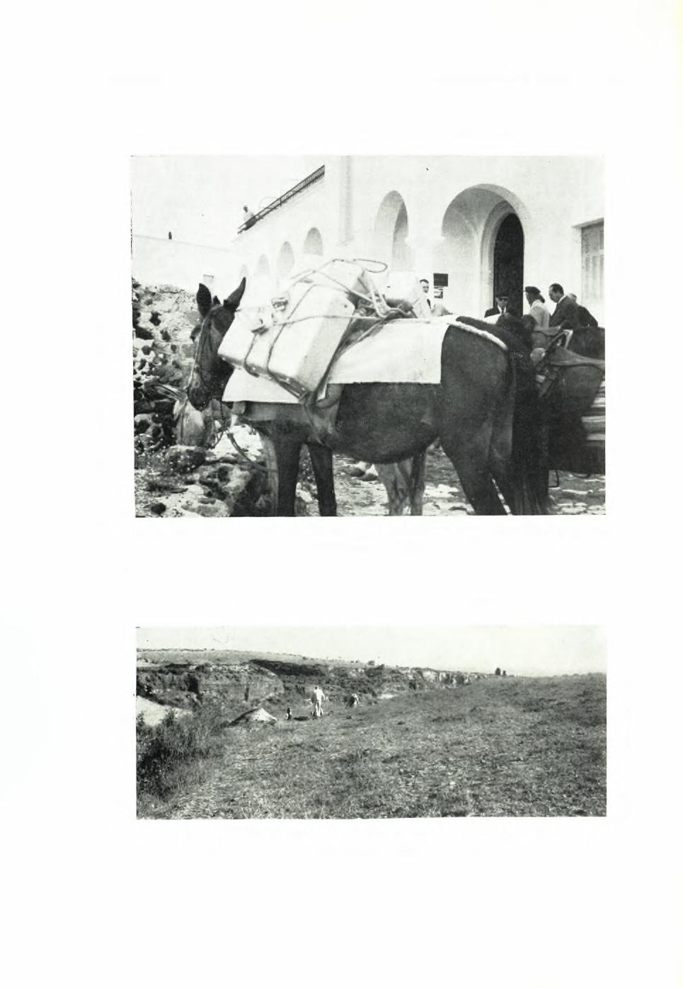 ΙΙΐΝΑΞ 108 ΠΑΕ 1967. 13. αναςκαφαι θηρας α.