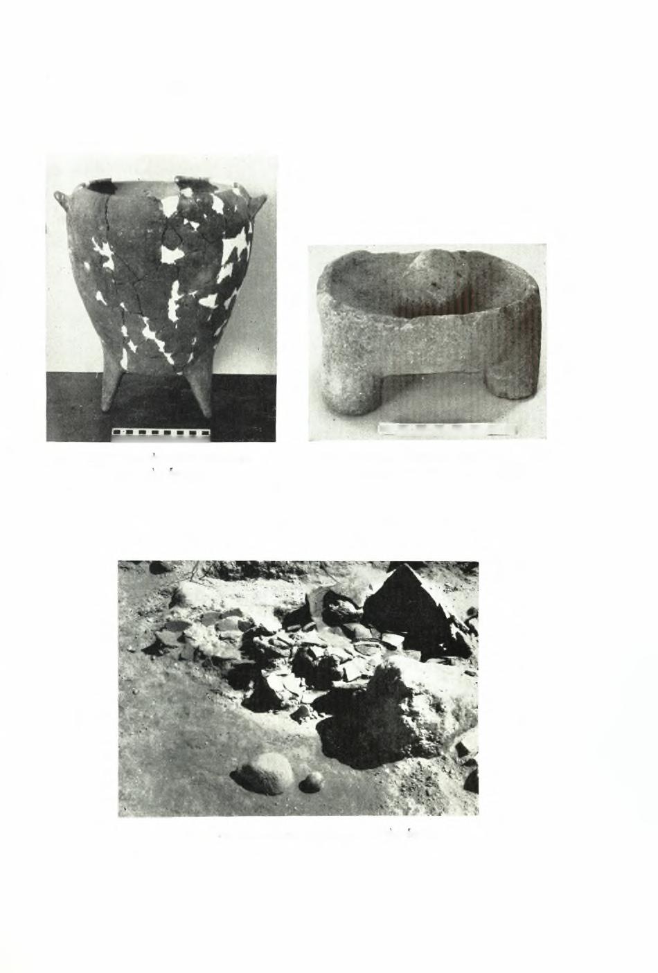 11A E 1967. 13. λναςκαφαι θηρας ΠίΝΑΞ 119 α.