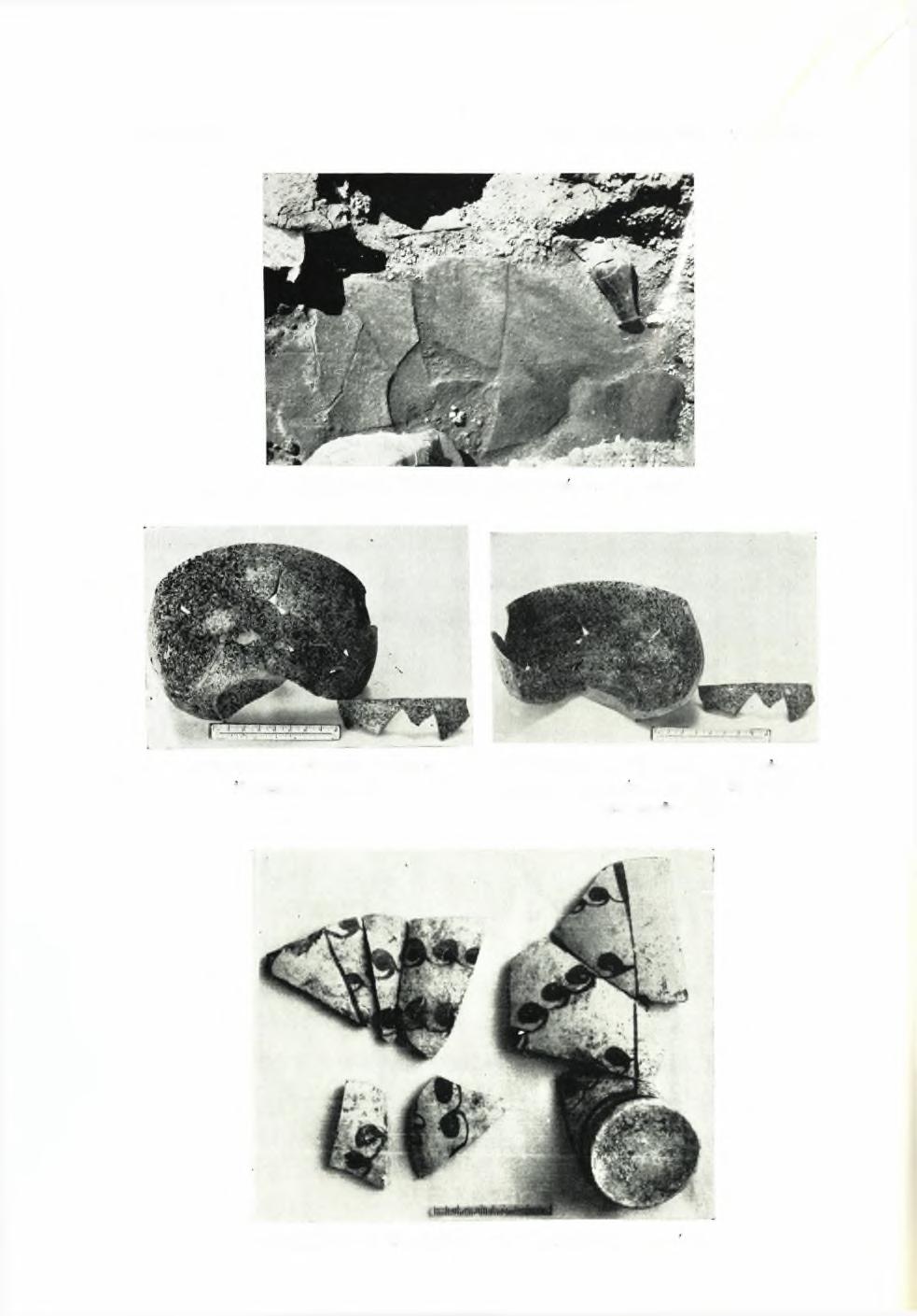 ΠίΝΑΞ 180 ΠΑΕ 1967. 13. αναςκ φαι θηρας α. Μπρόνου 2.