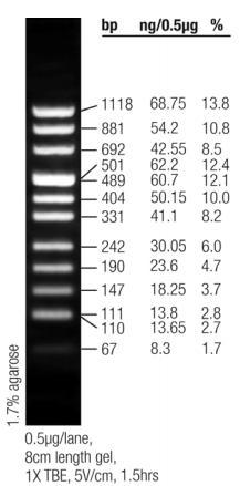 (εικόνα 21). Κάθε ένα από τα PCR product αλληλουχήθηκε με τον εκκινητή Forward (F) και με τον Reverse (R).