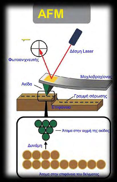 4: «AFM» :, : ~20 min (AFM), '.