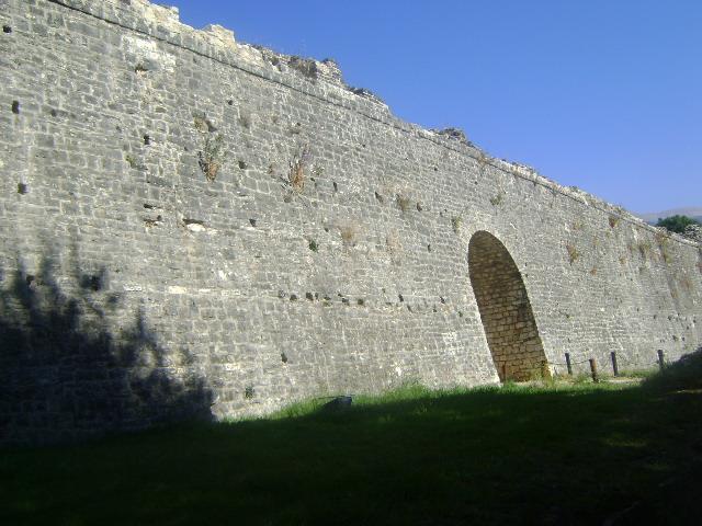 versicolor πάνω στον τοίχο του Κάστρου (Φωτογράφηση από την συγγραφέα).