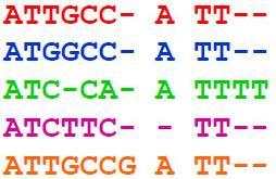 Στοίχιση Άστρου 4/5 ATTGCC-ATT