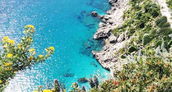 ΔΩΡΟ ΤΟ ΑΕΡΟΠΟΡΙΚΟ ΕΙΣΙΤΗΡΙΟ ΑΚΤΗ ΑΜΑΛΦΙ ΚΑΠΡΙ Σαλέρνο, Ποζιτάνο, Αμάλφι, Σορρέντο, Κάπρι, Πομπηία, Νάπολη 6 ημέρες, με απευθείας πτήσεις από ή προς Νάπολη Αναχωρήσεις: 14/07, 06/08,16/08 ΑΝΑΧΩΡΗΣΕΙΣ
