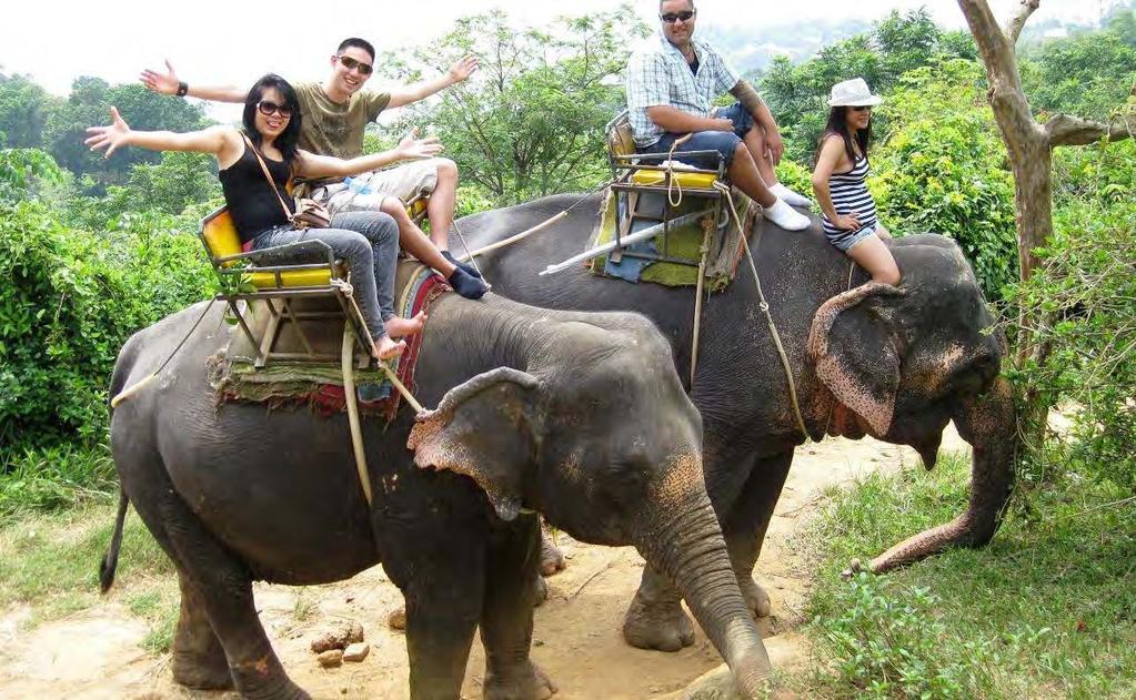 Elephant Trekking and Riding Έναρξη: 08:00 Διάρκεια: Μισή Μέρα ΠΕΡΙΗΓΗΣΗ ΜΕ ΕΛΕΦΑΝΤΕΣ & ΠΕΖΟΠΟΡΙΑ Εξερευνήστε το Πουκέτ από την πιο θεαματική θέση κάνοντας βόλτα πάνω από το βουνό και μέσα από το