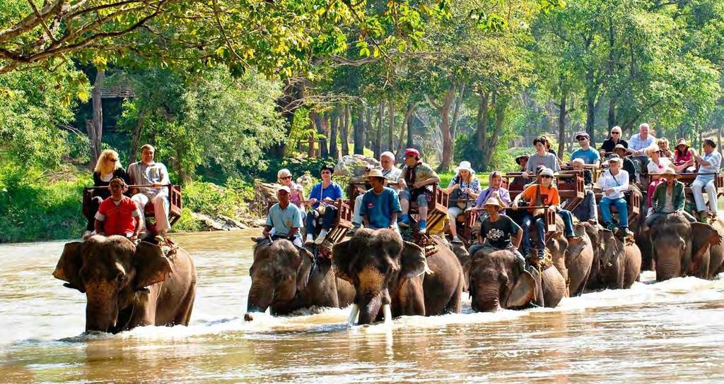 2 hours Elephant riding Έναρξη: 09:00 ή 14:00 Διάρκεια: 3 ώρες ΠΕΡΙΗΓΗΣΗ ΣΤΑ ΝΗΣΙΑ ΚΑΙ ΕΛΕΦΑΝΤΕΣ Μια εκδρομή μισής μέρας στην οποία θα έχετε την δυνατότητα να εξερευνήσετε τα 4 νησιά που βρίσκονται