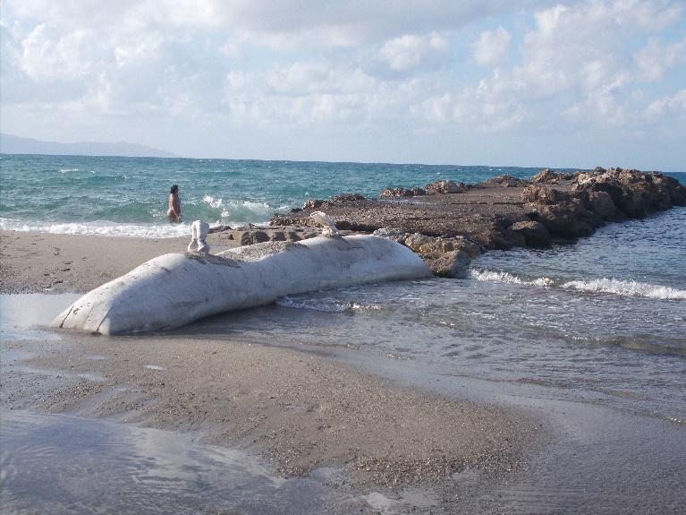 Φωτ. 14: Τοποθέτηση σάκου με αδρανή υλικά ως πρόχειρο