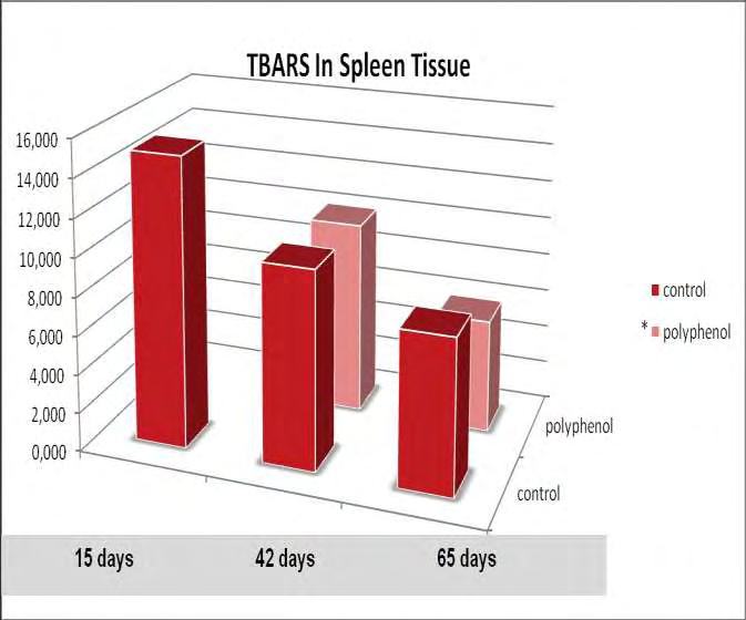 3.2 Επίπεδα TBARS * Διάγραμμα 10: Επίπεδα TBARS. Στατιστικά σημαντική μείωση κατά 26,34% μεταξύ των ομάδων control 65 ημερών και polyphenol 65 ημερών.