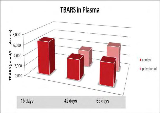 Διάγραμμα 11: Επίπεδα TBARS. Σύγκριση των ομάδων control Από το διάγραμμα, παρατηρούμε ότι τα επίπεδα των TBARS μειώνονται στατιστικά σημαντικά από τις 15 στις 42 ημέρες κατά 96,05% ± 0,415.
