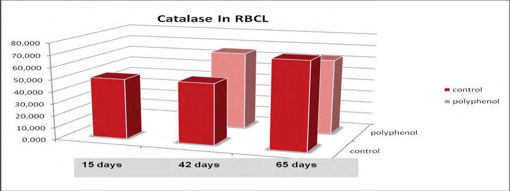 * Διάγραμμα 13: Επίπεδα Καταλάσης. Παρατηρείται στατιστικά σημαντική αύξηση της δραστικότητας της καταλάσης στις 42 ημέρες στην πολυφαινολική ομάδα κατά 28,47%.