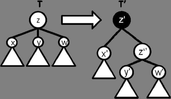 . 3 במידה והשורש z של T הוא צומת עם 3 בנים x,y,w אזי שורשו של 'T יהיה צומת שחור