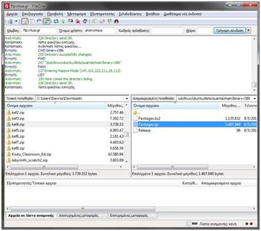 Μόνο στην περίπτωση ελεύθερης πρόσβασης, που ονομάζεται «ανώνυμο ftp» (anonymous ftp) o υπολογιστής επιτρέπει τη σύνδεση σε οποιονδήποτε χρήστη. Στην Εικόνα 10.2. και Εικόνα 10.3.