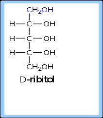 Сахарын уламжлалууд Сахарын спирт- альдегидийн бүлэг ангижрахад үүснэ. Ж: ribitol.