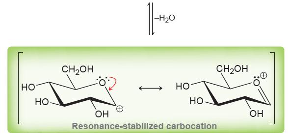 Реакции на моносахариди Крабокатјонскиот интермедиер е резонантно стабилизиран Резонантната стабилизација се јавува само кога реакцијата настанува на аномерна позиција